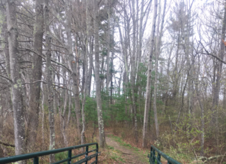 Five things you need to know in Burrillville for the weekend of May 4