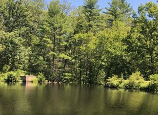Join the conversation on recreation in Burrillville Thursday