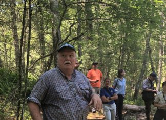 Coalition sounds alarm bells on destruction of forest