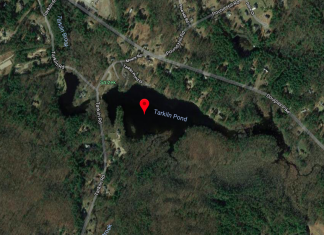 RIDOH: Advisories remain in place for Tarkiln Pond