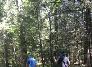 Burrillville residents can ‘#Opt Outside’ for Black Friday on guided hike