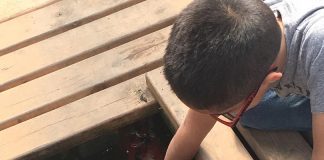 6th Annual Fall Festival at Mapleville Farm