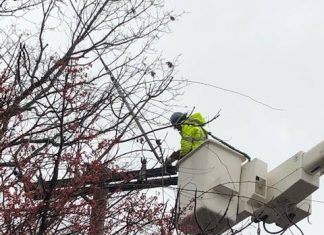 PUD: Failed insulator, downed trees caused power outages