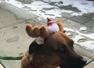 Sit with Santa, enjoy free holiday cheer at Stillwater Saturday