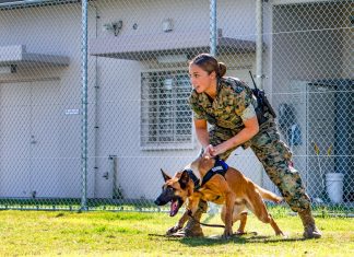 Marine dog handler, last dates for plant hearings: Five things to know in Burrillville this week