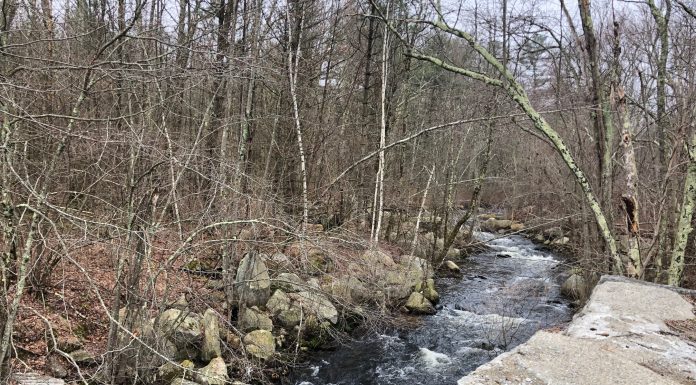Teacher recognized, school vacation: Five things you need to know in Burrillville this week