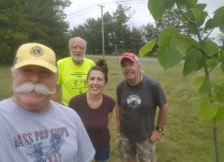 Tax bills, Water a tree: Five Things You Need to Know in Burrillville this week