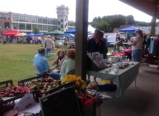 BPAC teams up to bring eco-conscious fun to Harrisville at 13th annual Green Festival
