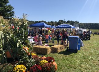 GALLERY: 13th Great Pumpkin Festival brings out big crowds