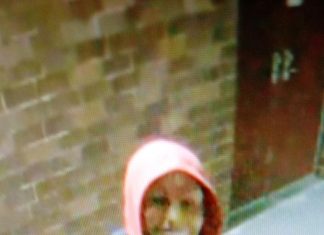 Reward of $500 offered for information on Woonsocket vandal suspect