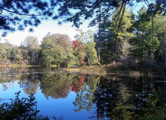 Voter registration, volunteer drivers and BPD seeks officer names: Five things you need to know in Burrillville this week