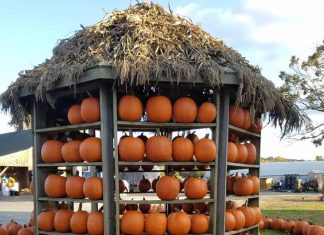 ‘Spooky Spirits’ coming to Goodwin Brothers Farm
