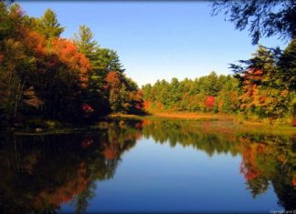 RIDEM to stock Burrillville’s Round Top Ponds next week