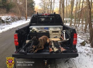 RIDEM officials looking for poachers who hid guns in Burrillville woods