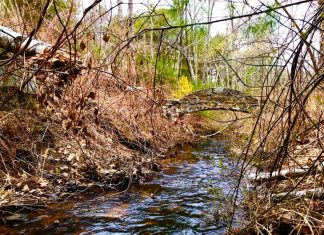 Gold opens 140-acre North Smithfield property to visitors