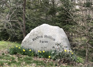 Buxton Hollow compost plant appeal again delayed as attorney leaves case