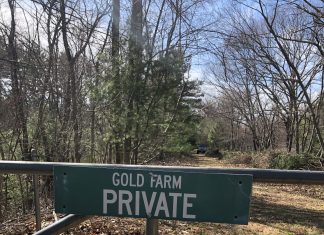 Town finalizes purchase of Gold property for open space, solar lease agreement