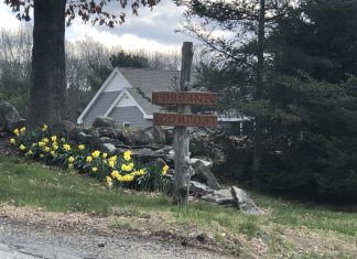 Ethics of odor: N.S. zoner can speak against appeal for composting at Buxton Hollow Farm