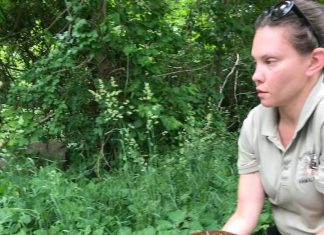 Spring Lake, Grad video: Five things to know in Burrillville this week