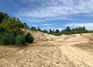 Planners OK carport for Broncos Highway, speak favorably on Log Road solar