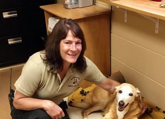 Courtemanche named Burrillville’s new ACO