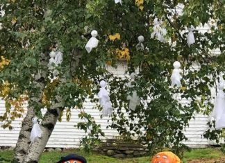 ‘Pumpkin People’ coming to No.Smithfield