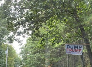 Neighbors call on council for action following vandalism of Biden signs