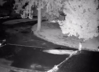 Lynch: Dangerous gang involved in break-ins, rash of crime across northern RI