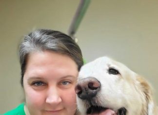 Burrillville woman spins ‘Fairy Tails’ at new dog grooming space in Slatersville