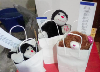 Snow, vaccines and rock paint kits: Five things to know in Burrillville this week