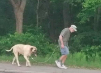 Family raises $7K to keep pet following passing of famed dog-walking patriarch
