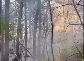 Brush fire burns down four acres on West Road in Burrillville