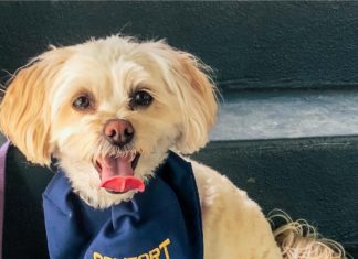 Public invited to meet founders, dogs with Lions Paws program Wednesday