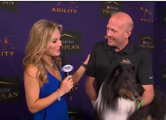 Pascoag dog takes home first place win at Westminster Kennel Club show
