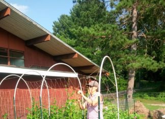 Community gardeners deliver 38 pounds of produce to N.S. Food Pantry