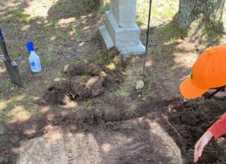 Hatching chickens, Black Plain Road: Five things to know in North Smithfield this week