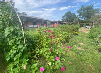 Hamilton tickets, Garden open house, concert & more: Eight things to know in No. Smithfield this week