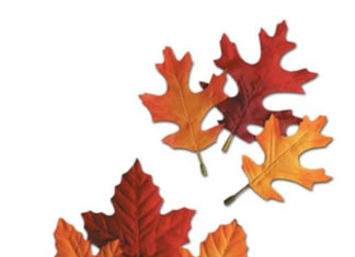 Welcome to our Guide to Fall 2021