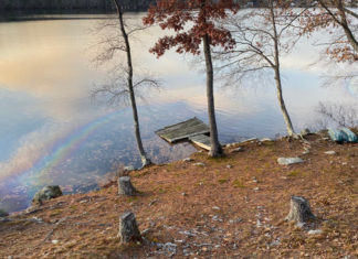 RIDEM investigating 250 gallon oil leak by Spring Lake