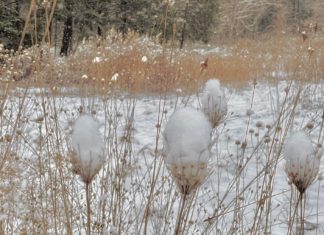 UPDATE: Towns announce closings and delays from storm: What you need to know in northern RI