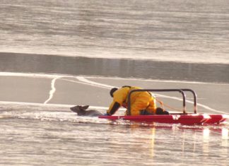 Firefighters rescue baby deer trapped in the ice at a Glocester lake