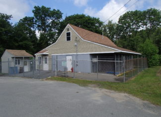 Updated: Glocester police, former ACO dispute accounts of ‘kill shelter’ following death of three dogs