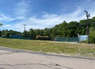 Company begins cleanup of decades old ‘bus graveyards’