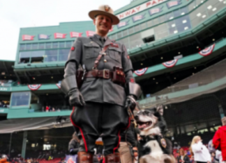 K-9 made famous by rescue of Glocester teen dies at age 11
