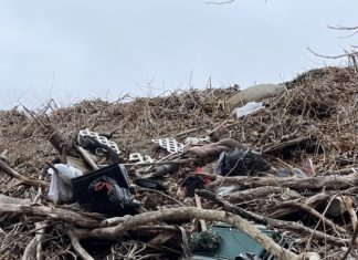 Neighbor & burial official at odds over dumping at Union Cemetery