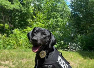 Glocester K-9 gets body armor honoring late hero dog from neighboring Mass.