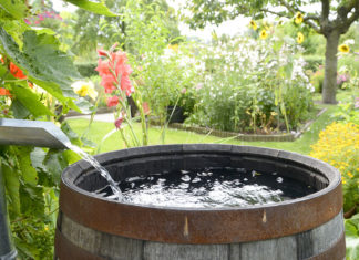 Green Festival returns to Burrillville Sept. 10