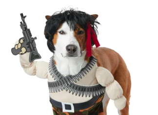 Announcing: The Howl-O-Ween, Meowl-O-Ween & Every Pet In-Bat-Ween Pet Costume Contest