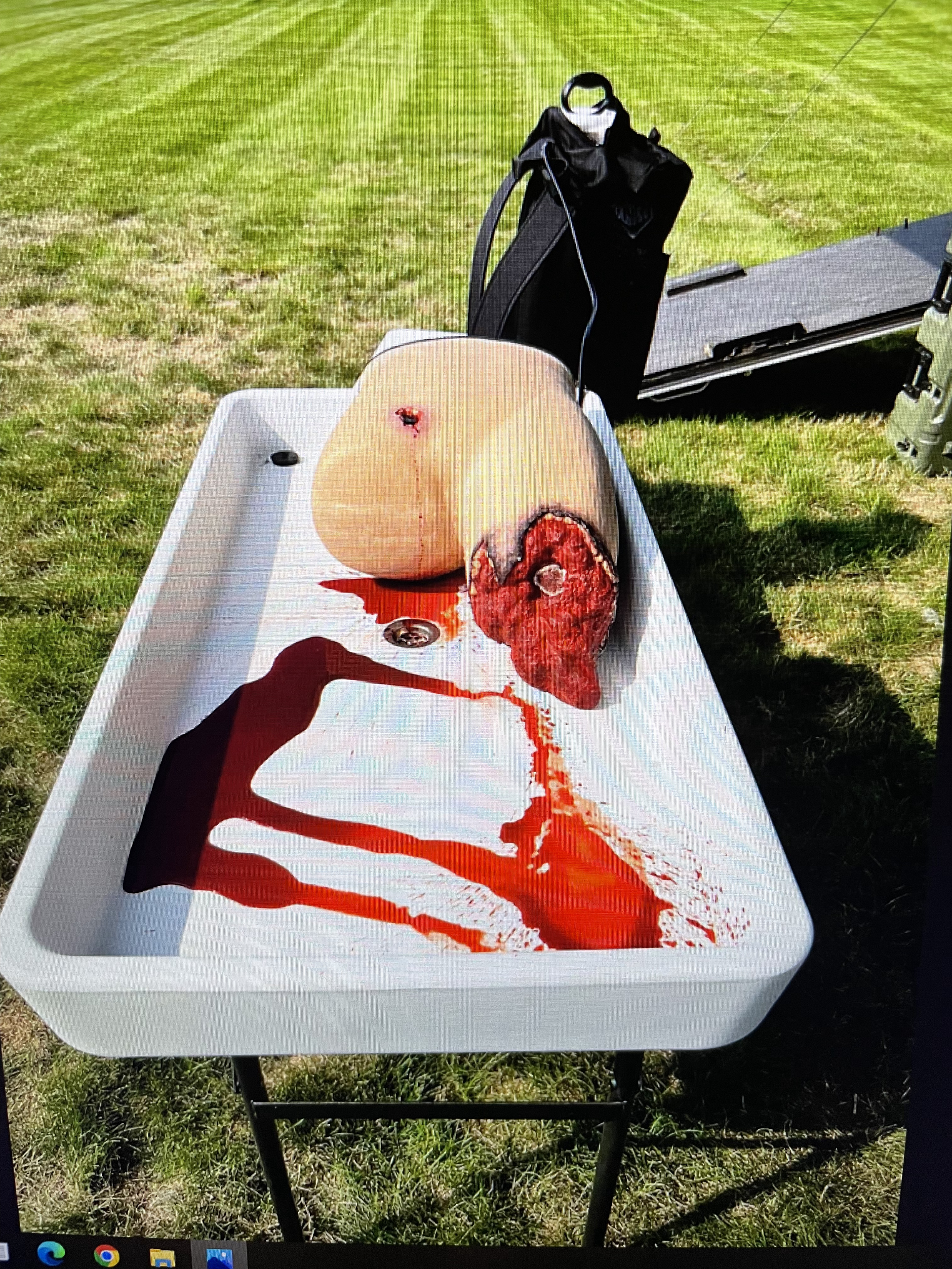 bleed