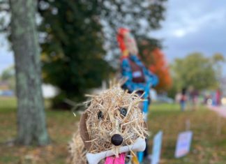 Gallery: Scarecrow Festival adds life, color & frights to the streets of Glocester
